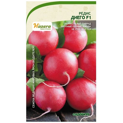 Семена Редис Диего F1 1гр Садовита (3 пакета) семена томат джина 0 1гр садовита 3 пакета