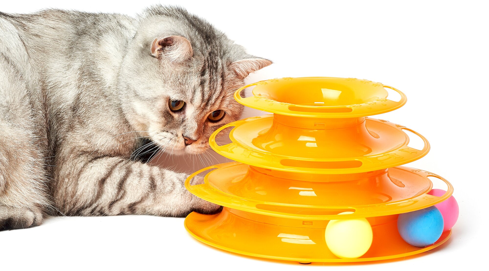 Развивающая игрушка для кошек "Гонщик", цвет: оранжевый, 3 уровня