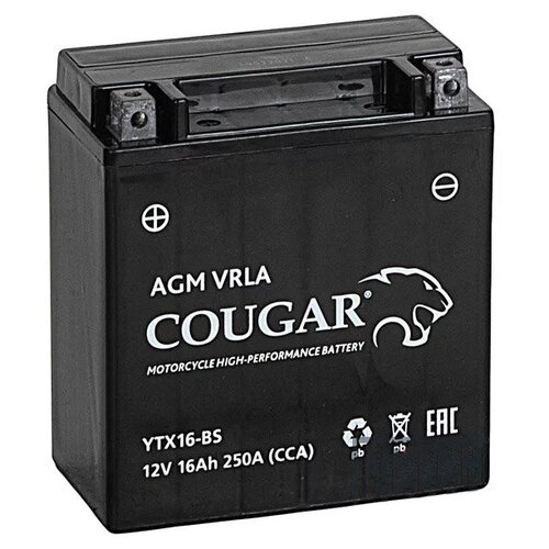 Аккумулятор мотоциклетный COUGAR AGM VRLA 12V16 YTX16-BS 150x86x161