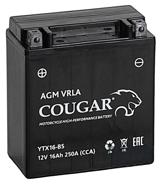 Аккумулятор мотоциклетный COUGAR AGM VRLA 12V16 YTX16-BS 150x86x161