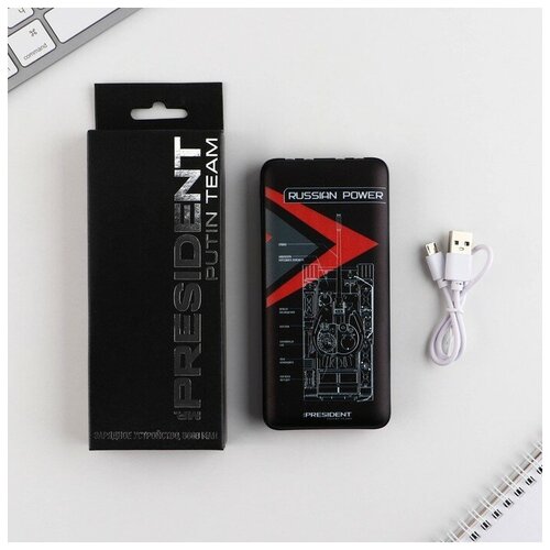 Зарядное устройство Russian Power 8000мА модель PB-15 145 х 69 см 270000₽