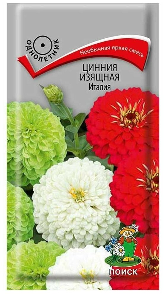 Семена цветов Поиск цинния изящная Италия - фото №1