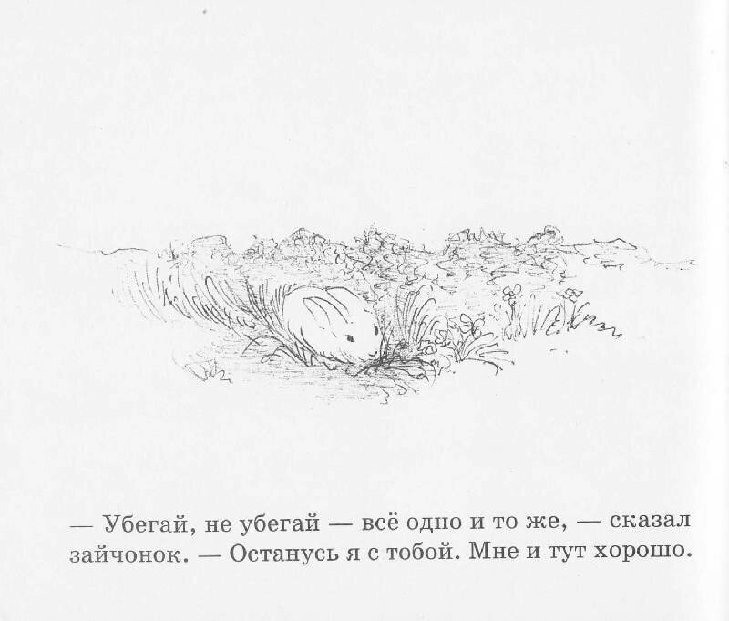 Как зайчонок убегал (Браун М. У.) - фото №10