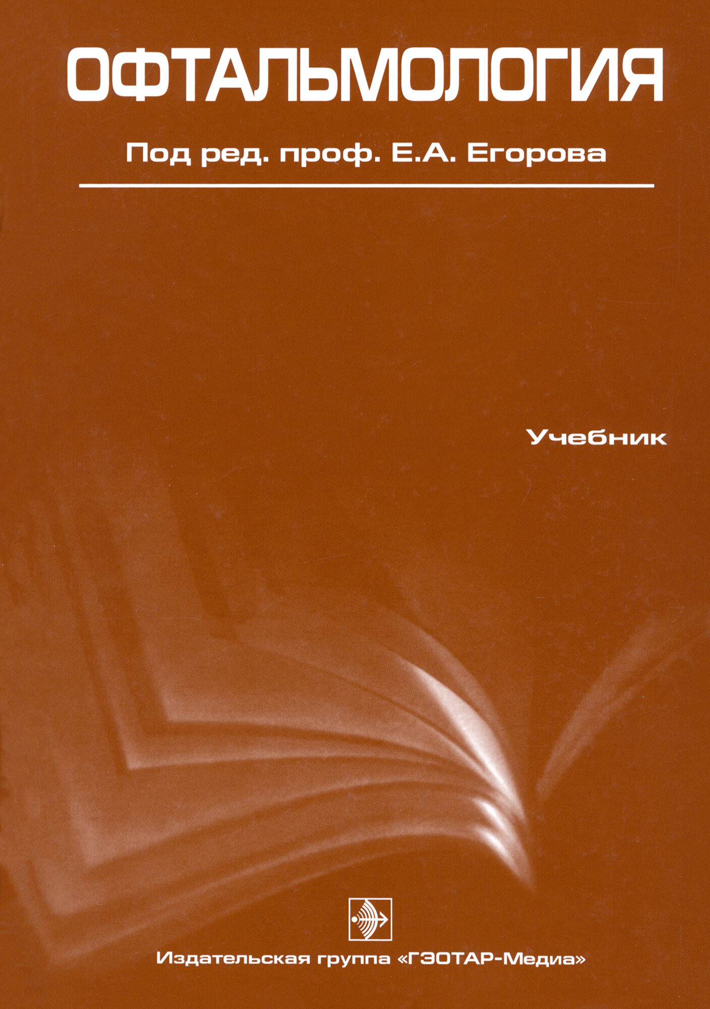 Офтальмология (Егоров Евгений Алексеевич, Алексеев Владимир Николаевич, Астахов Юрий Сергеевич, Ставицкая Татьяна Васильевна) - фото №4