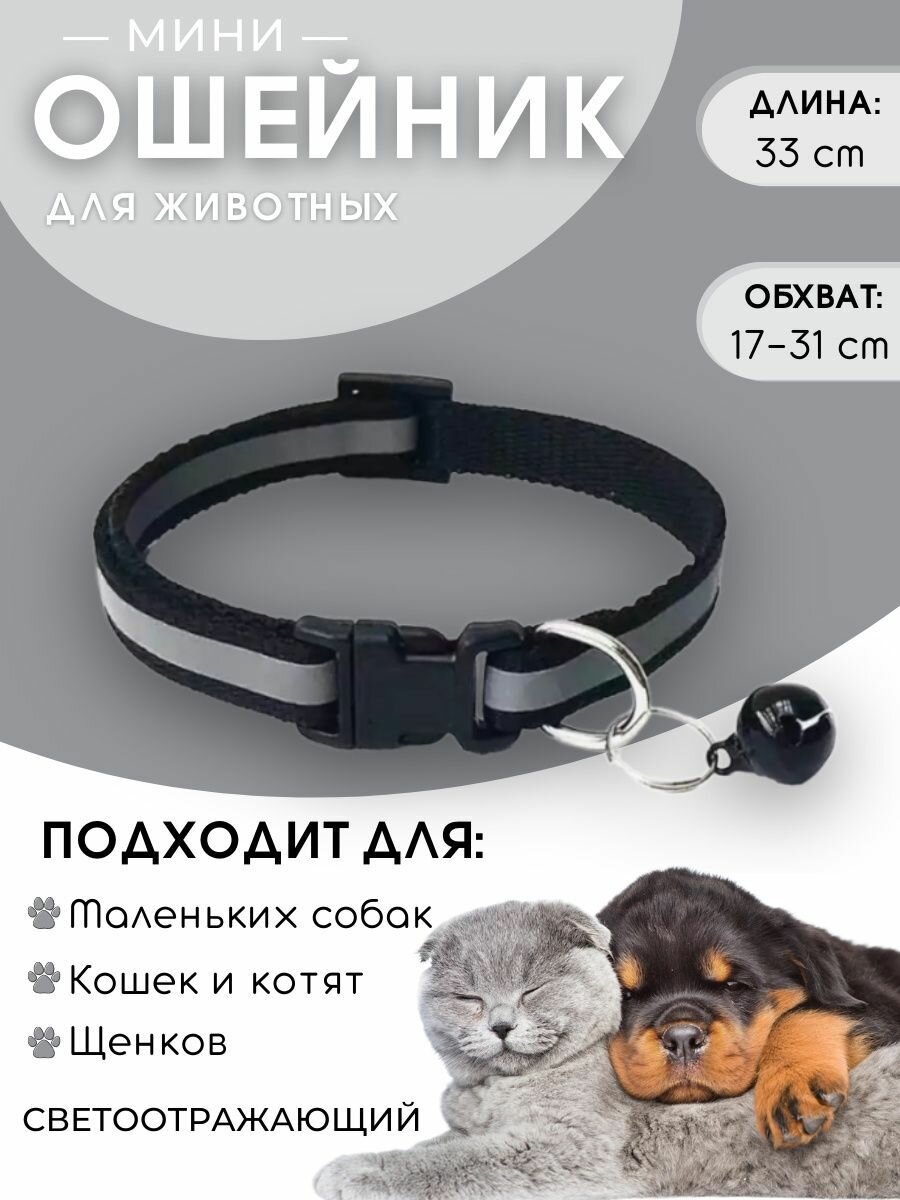 фото Ошейник для собак и для кошек, светоотражающий