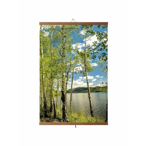 Инфракрасный обогреватель Березовая роща 161400₽