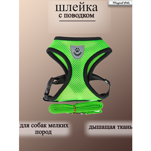 Шлейка для собак