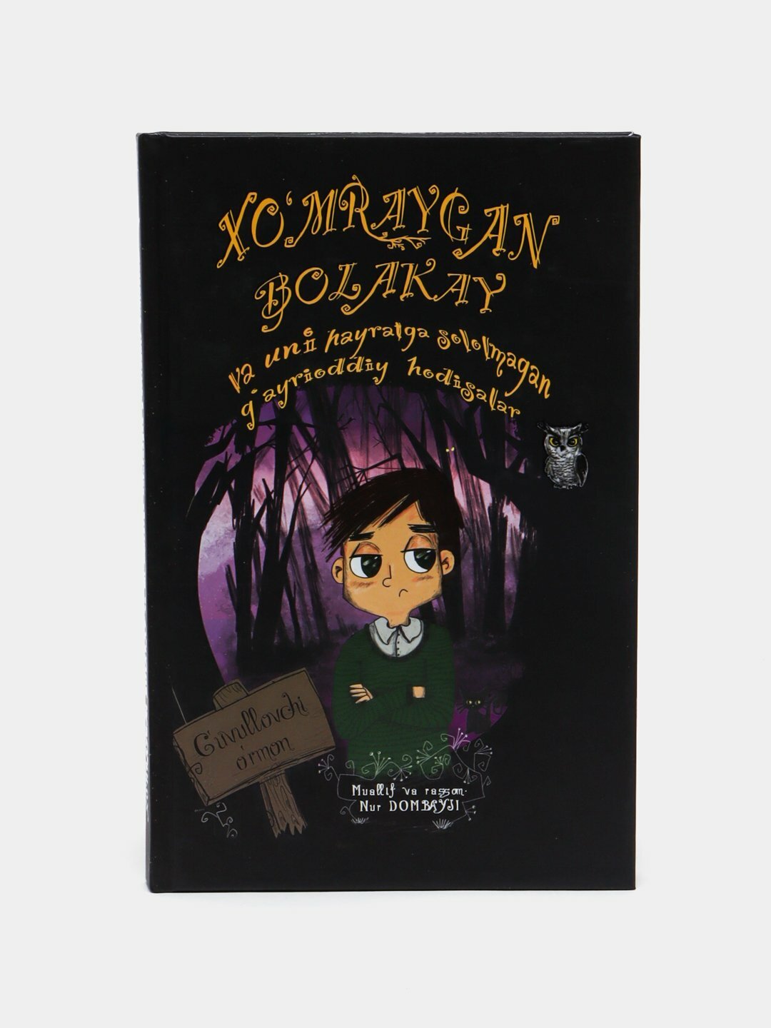 Xomraygan Bоlakay va uni hayratga sololmagan gayrioddiy hodisalar – Nurlan Dombayesi