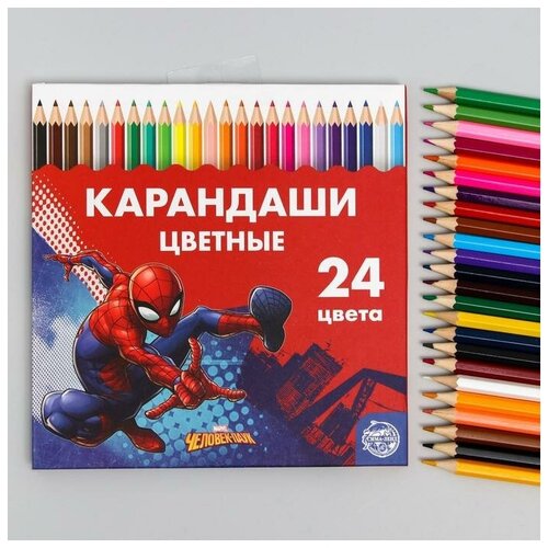 Карандаши 24 цвета 