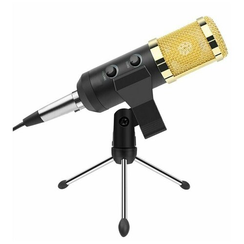 Конденсаторный студийный микрофон BM 900 с подставкой черный 99900₽