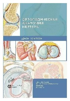 Ортопедическая анатомия Неттера. Справочник