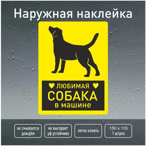Наклейка лабрадор / любимая собака в машине / наклейка 15х11 см. наружная / Навигаторика