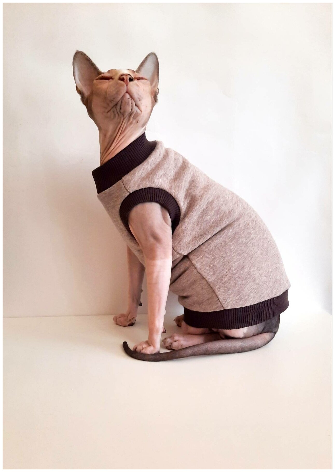 Свитшот для кошек, размер 30 (длина спины 30см), бежевый меланж+шоколад/ толстовка свитшот свитер для кошек сфинкс / одежда для животных - фотография № 5