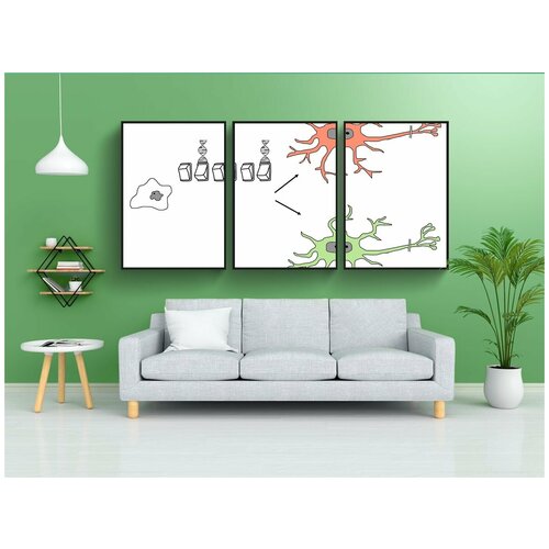 фото Набор модулных постеров для интерьера "стволовых клеток, дифференциация, программирование" 60x90 см. в тубусе, без рамки lotsprints