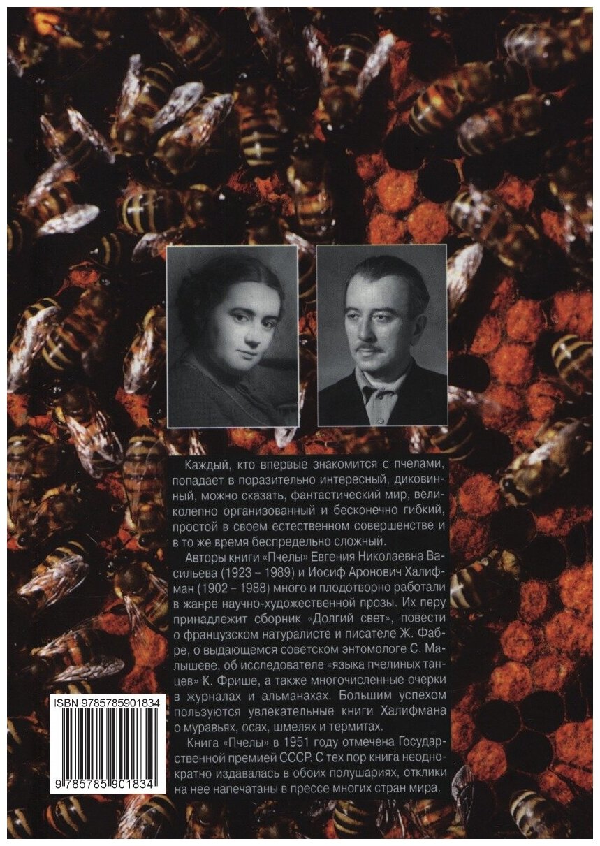 Книга Пчелы. Повесть о биологии пчелиной семьи и о победах науки о пчелах - фото №2