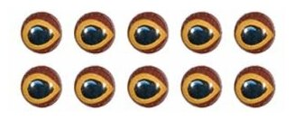 Набор глаз KAHARA KJ Real eyes (frog) D 5.5L
