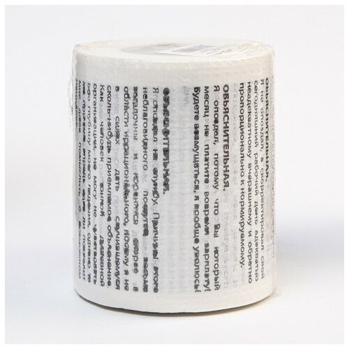 Сувенирная туалетная бумага Объяснительная, 9,5х10х9,5 см