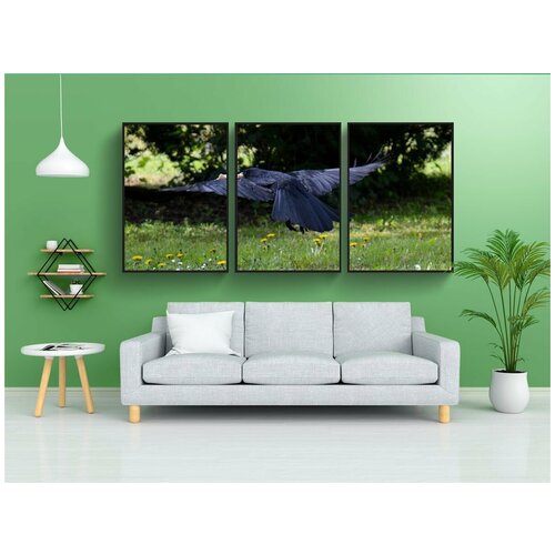 фото Набор модулных постеров для интерьера "ворона, ворон, чернить" 60x90 см. в тубусе, без рамки lotsprints