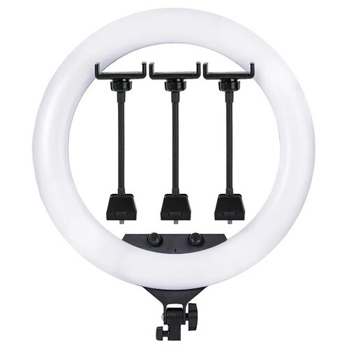 Кольцевая лампа ZB-F488 с пультом управления 55 см чёрная 481100₽