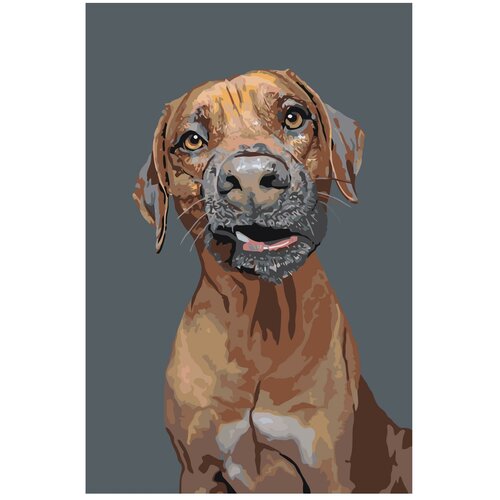 Картина по номерам, Живопись по номерам, 48 x 72, A169, пёс, живопись, собака, животное, порода