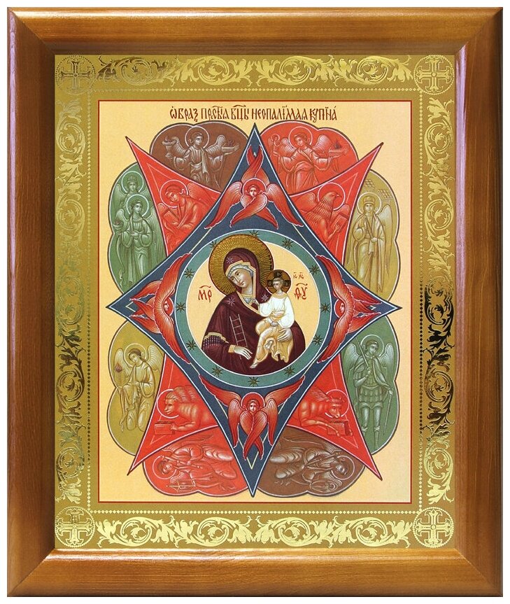 Икона Божией Матери "Неопалимая Купина", деревянная рамка 17,5*20,5 см