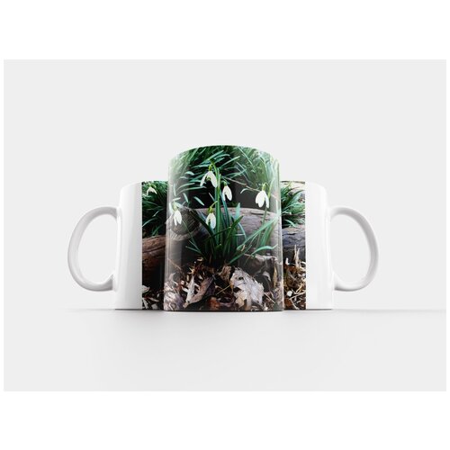 фото Кружка "подснежники, цветы, зима" 320 мл lotsprints