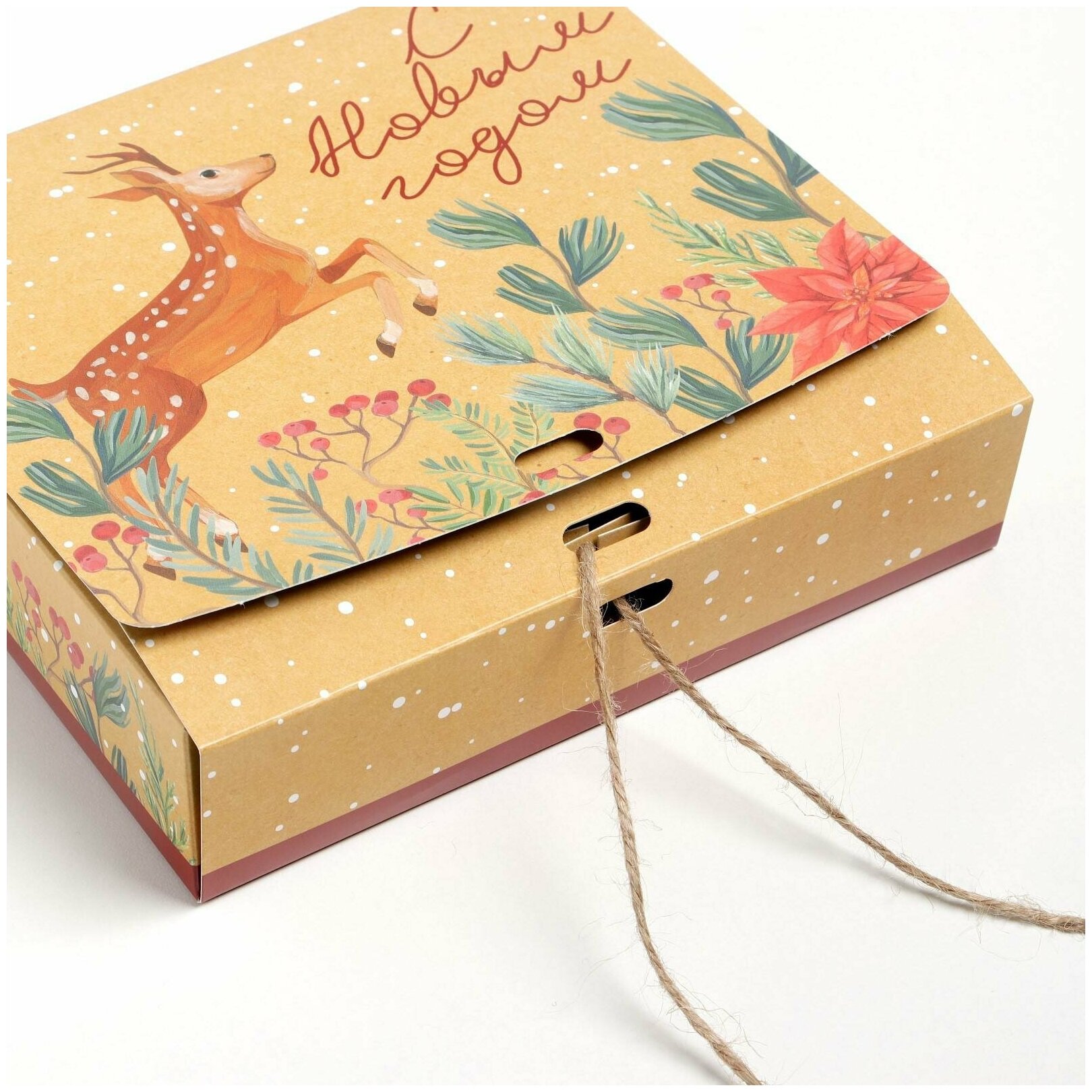 Коробка складная двухсторонняя «Новогодняя ботаника», 20 × 18 × 5 см / Новый год