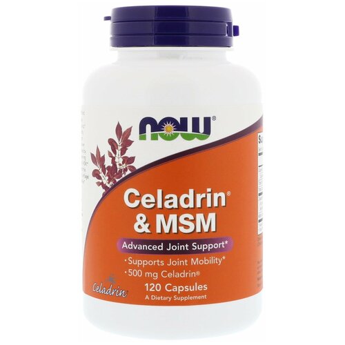 Celadrin MSM, Целадрин и МСМ (Mетилсульфонилметан) - 120 капсул