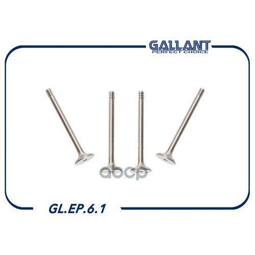 GALLANT GLEP61 Клапан двигателя впускной выпускной комплект