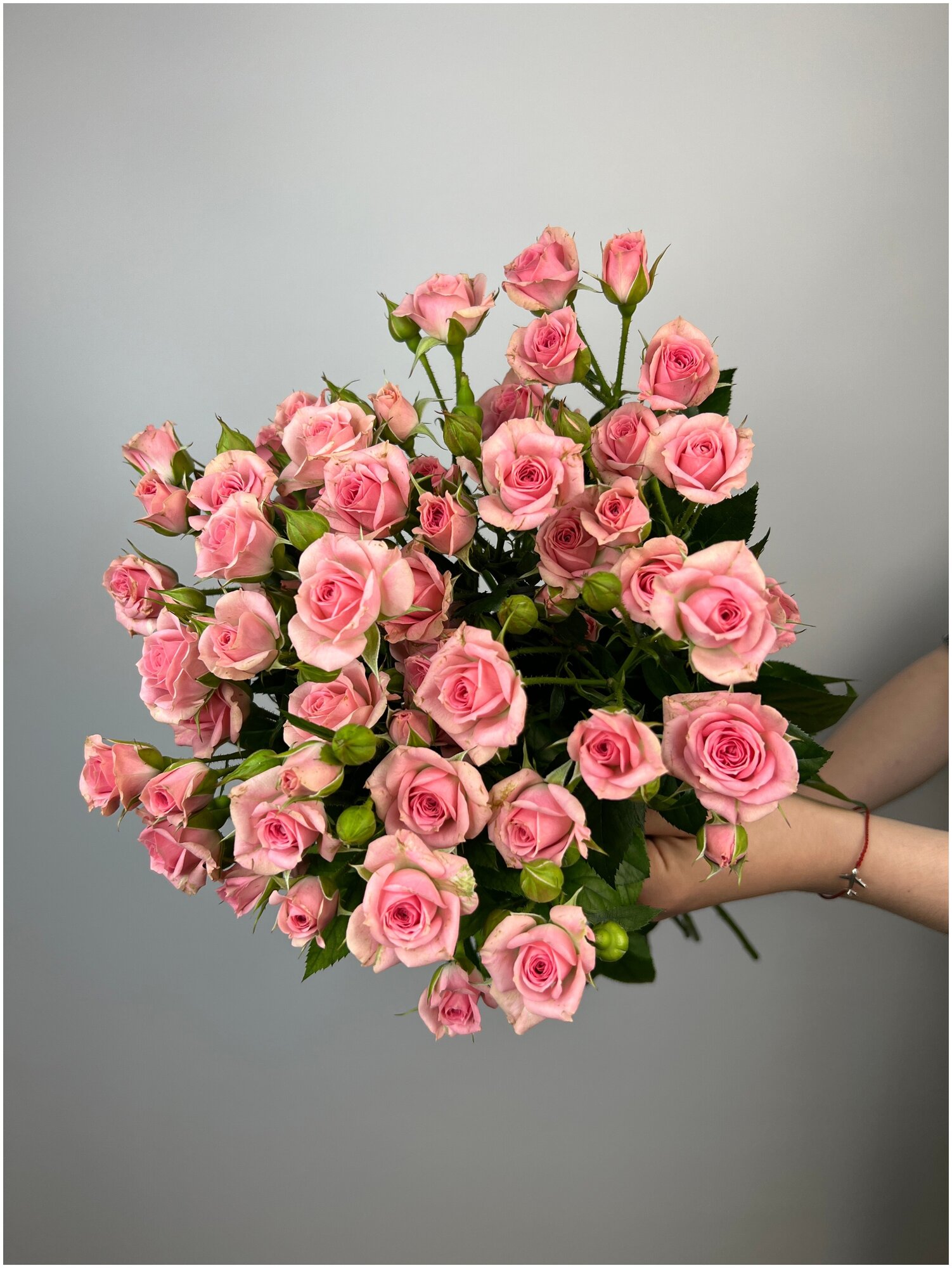 "Букет из 25 кустовых роз Грация" 60 см