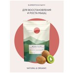 Аминокислоты Bcaa Plus Elementica Organic Свежий киви, Элементика, 200гр - изображение