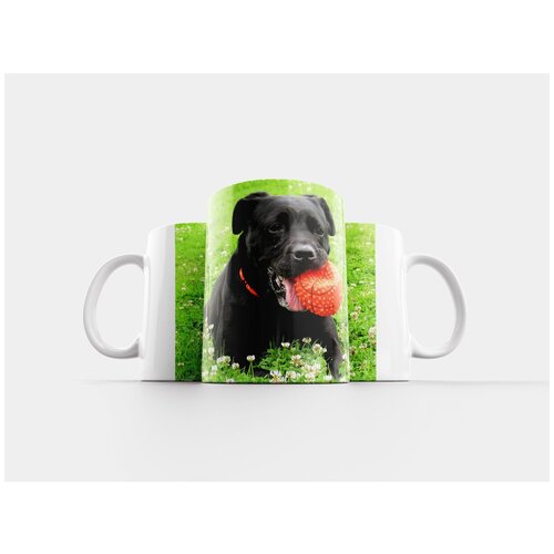 фото Кружка "собака, черный, белый" 320 мл lotsprints