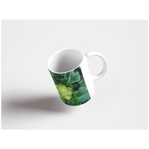 фото Кружка "брокколи, овощ, завод" 320 мл lotsprints