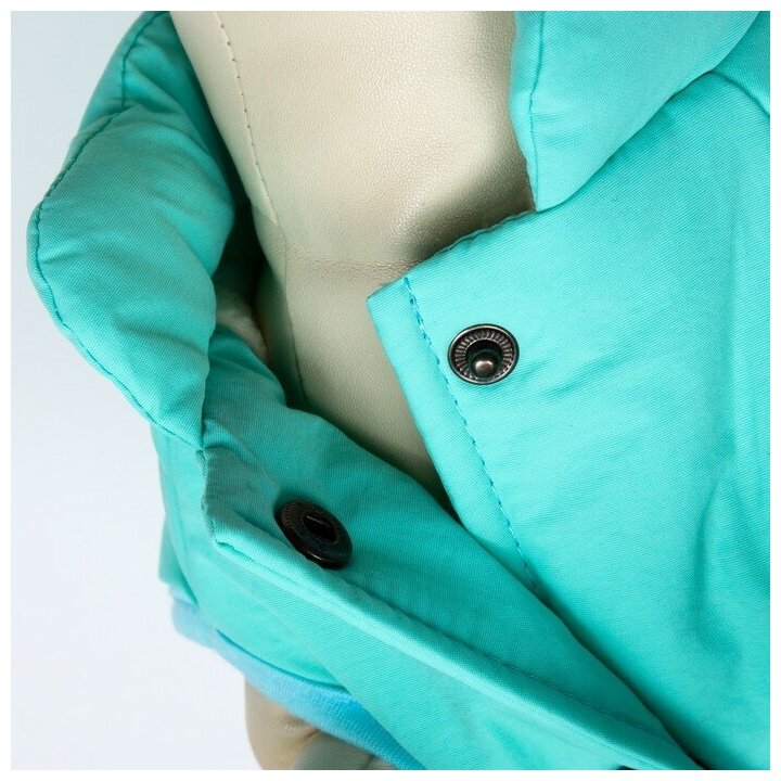 Куртка для собак, S (ДС 20 см, ОШ 23 см, ОГ 32 см), голубая - фотография № 5