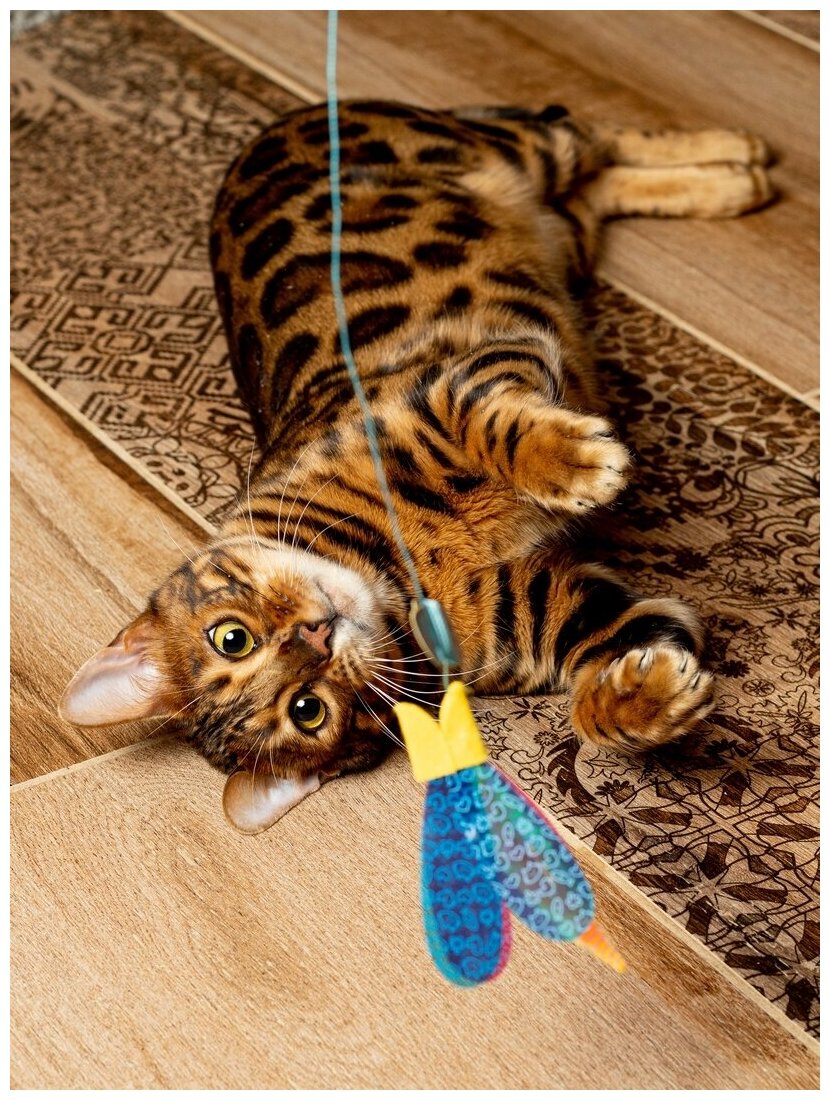 Игрушка для кошек Japan Premium Pet удочка с непредсказуемой траекторией движения для опытных кошачьих охотников ,рыбка - фотография № 1