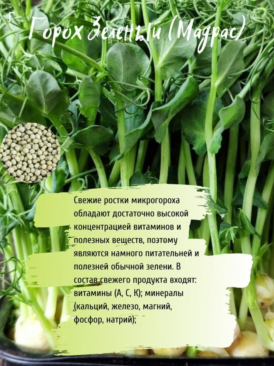 Набор для выращивания микрозелени - фотография № 7
