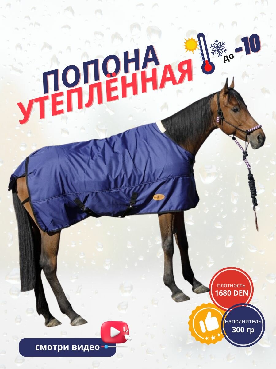 Попона Sweet Horse для лошадей, утепленная демисезонная, синяя - фотография № 1