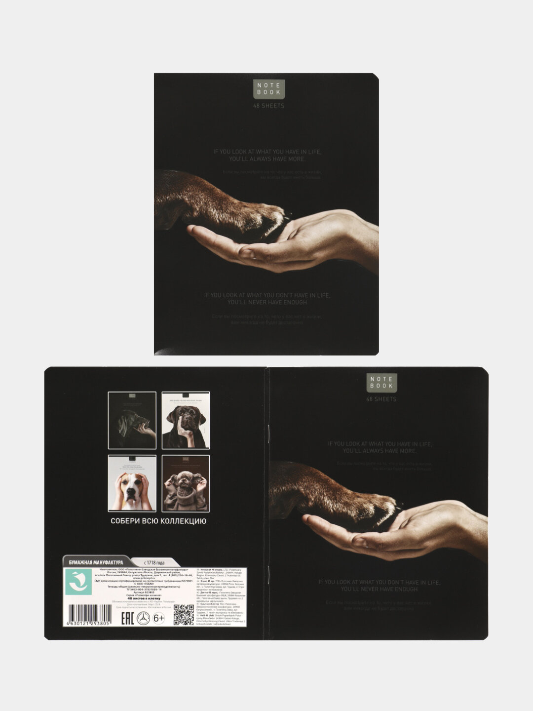 Тетрадь А5, 48 листов, клетка, поля, ассорти, 5 видов — фото 1