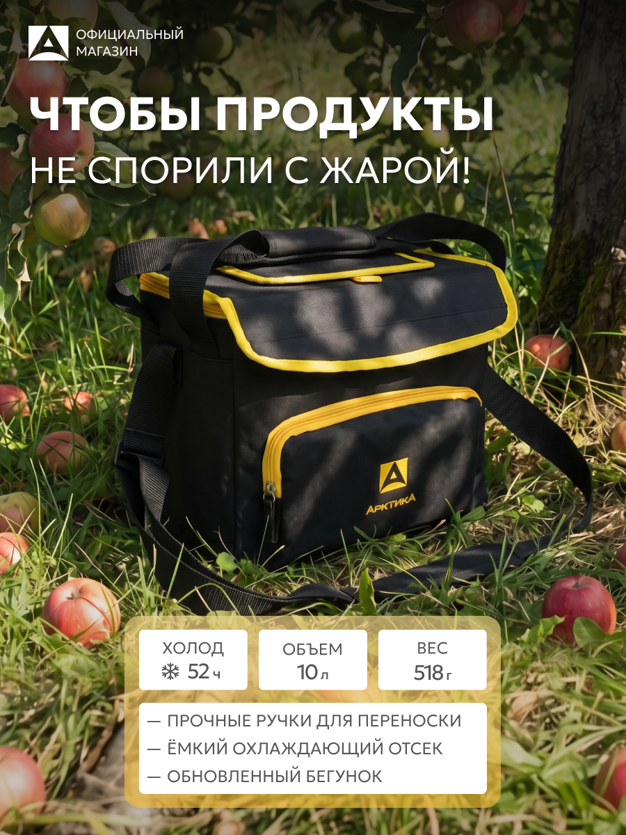 Сумка холодильник термосумка маленькая 10 л Арктика 3000 в машину