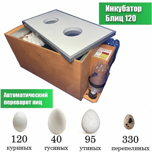 Инкубатор Блиц для 120 куриных яиц, автоматический переворот, домашний для птиц и цыплят, цифровой