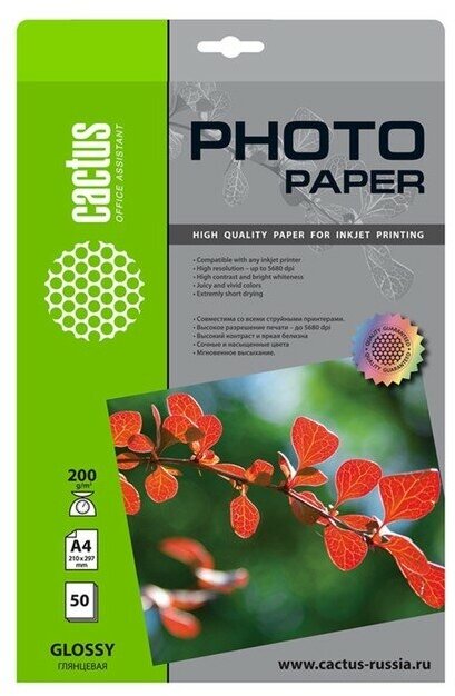 CACTUS Фотобумага для струйной печати А4, 50 листов Cactus, 200 г/м2, односторонняя, глянцевая