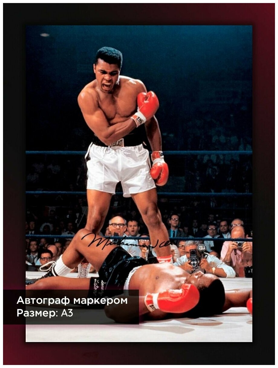 Постер с автографом Мухаммед Али, Величайший Али, Бокс, А3, без рамы