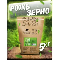 Рожь зерно органическое Биохутор, 5 кг.