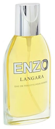 Dannie Dio туалетная вода Enzo Langara, 95 мл