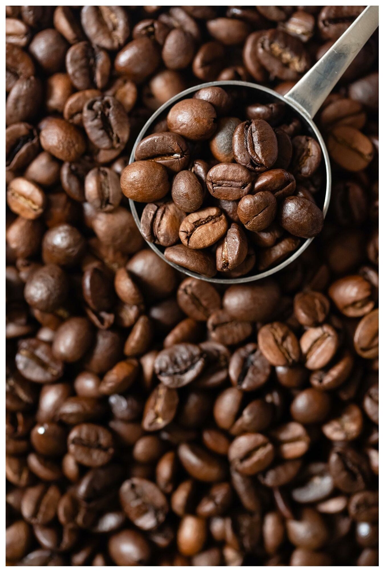 Кофе Coffesso Espresso в зернах, 250г - фотография № 7