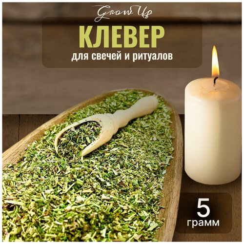 Сухая трава Клевер для свечей и ритуалов, 5 гр сухая трава липа лист для свечей и ритуалов 5 гр