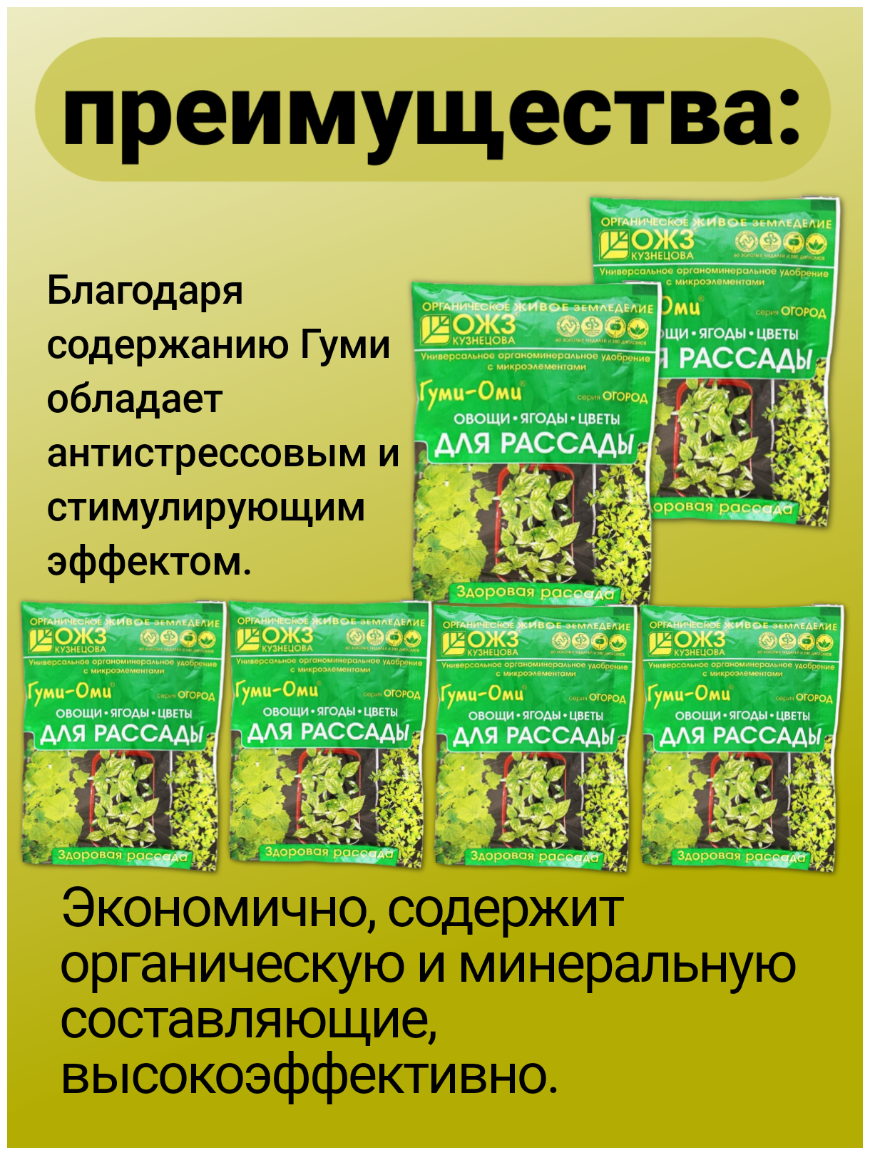 Универсальное удобрение для растений Гуми-Оми Рассада. Набор 6 упаковок по 50гр - фотография № 4