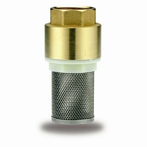 фото Клапан обратный 1" (25) с сеткой, с латунным седлом RVC