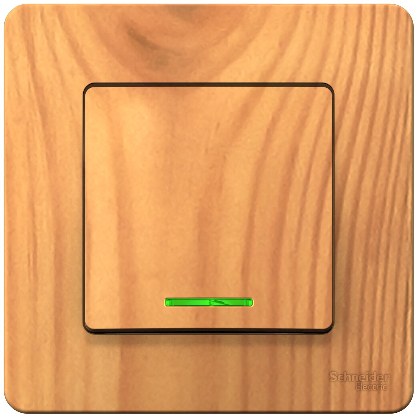 фото Переключатель Systeme Electric BLNVS010615 Blanca, 10 А