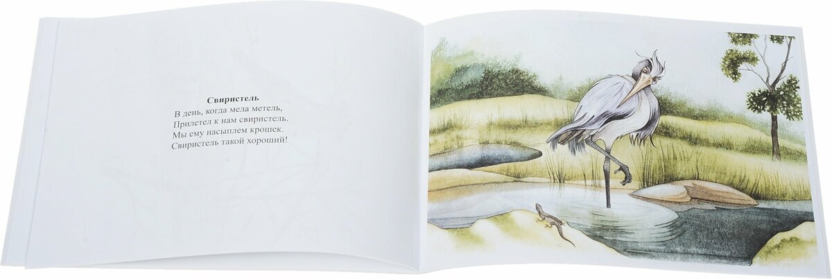 Картотека предметных картинок. Вып.9 Домашние, перелетные, зимующие птицы. Наглядный дидактический м